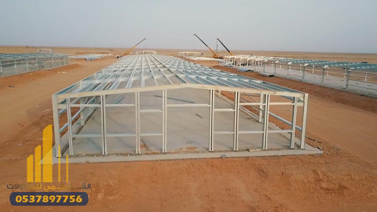 بناء مزارع دواجن في الرياض | شركة القاسمي للمقاولات | حلول متكاملة